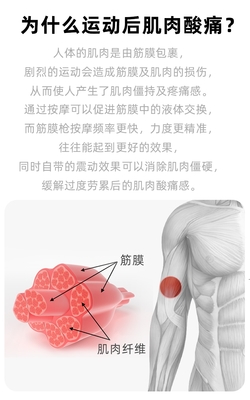 深度評測 菠蘿君U1筋膜槍——你的隨身放松專家