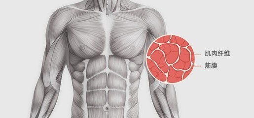 筋膜放松新潮流 YUNMAI筋膜槍Pro Design為何備受青睞